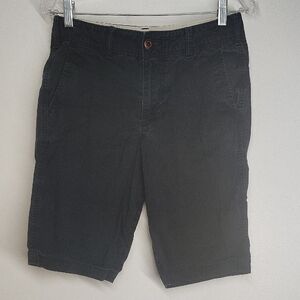 Hollister Men's Navy Blue Flat Front Shorts